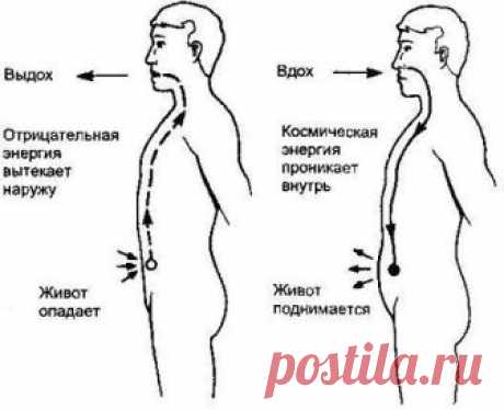 Дыхательная гимнастика для уменьшения живота