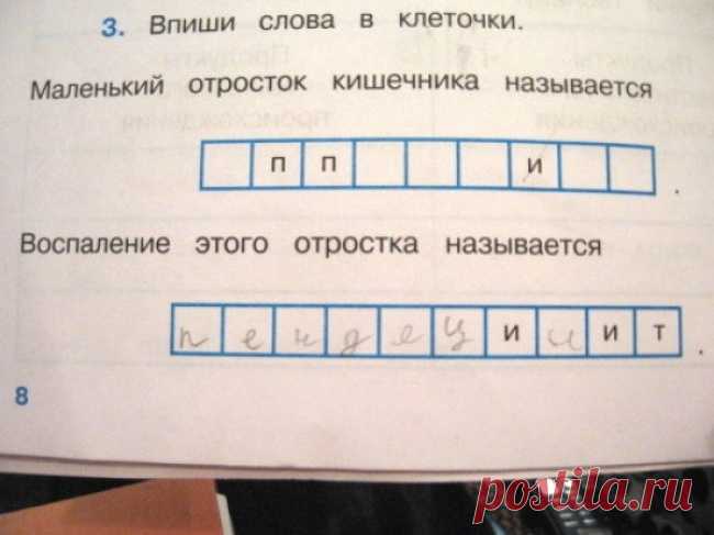 20 гениальных ответов детей в школьных тетрадях