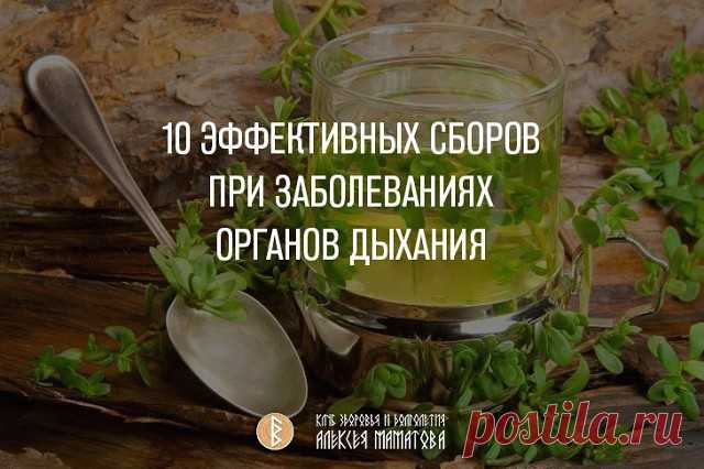 10 ЭФФЕКТИВНЫХ СБОРОВ ПРИ ЗАБОЛЕВАНИЯХ ОРГАНОВ ДЫХАНИЯ
Сохраните себе! 

1. Для приготовления ингаляционной смеси при ларингитах, трахеитах, ангинах, тонзиллитах.

Эвкалипт прутьевидный (лист) 15,0
Шалфей лекарственный (листья) 20,0
Ромашка аптечная (цветки)10,0
Мята перечная (трава) 10,0
Сосна обыкновенная (почки) 15,0
Девясил высокий (корни) 20,0
Тимьян обыкновенный (трава) 10,0

2. Для полоскания ротоглотки при ларингитах, трахеитах, ангинах, тонзиллитах.

Эвкалипт прут...