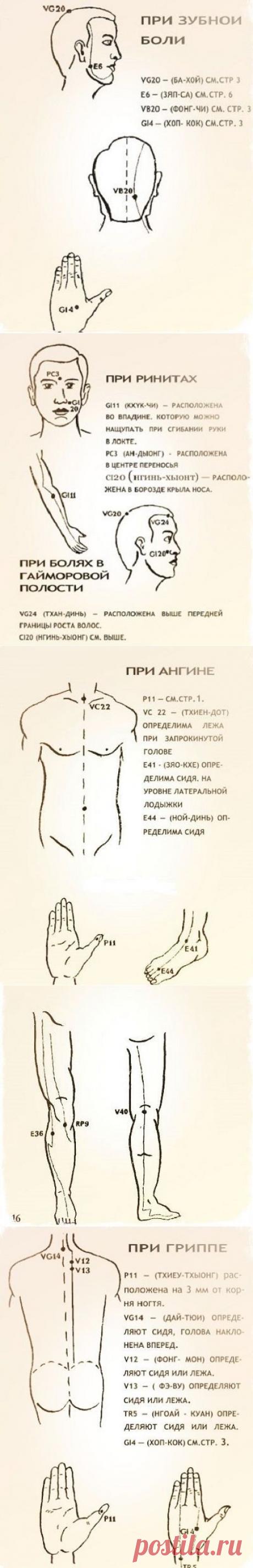 Целебные свойства бальзама «Звездочка» | Полезно для здоровья | Постила
