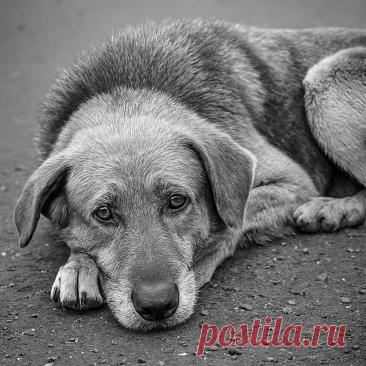 Моя подруга – ведьма - OGADANIE.RU