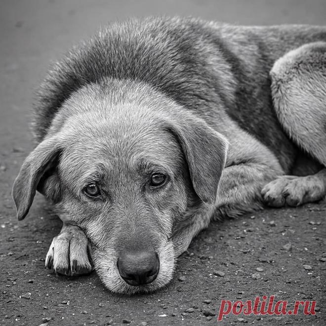 Моя подруга – ведьма - OGADANIE.RU