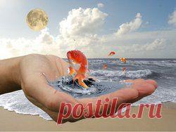 Все статьи о Исполнение желаний