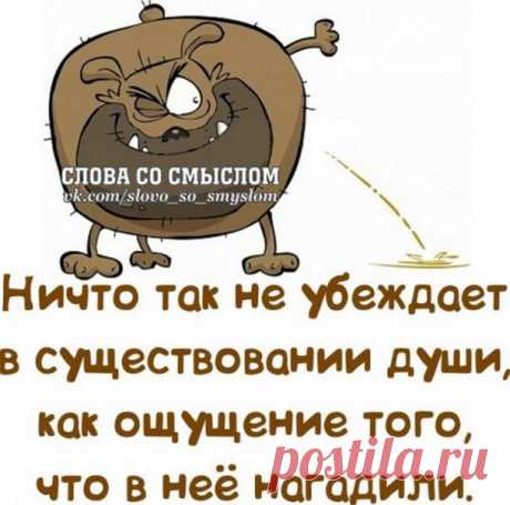 релакс смысл слова: 7 тыс изображений найдено в Яндекс.Картинках