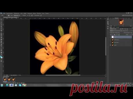 Блестящая окантовка в анимации - Фотошоп+видео-анимация - Группы Мой Мир