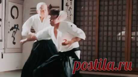 DAITOGRAM | Daito-ryu Aikijujutsu 🤌 | Дзен