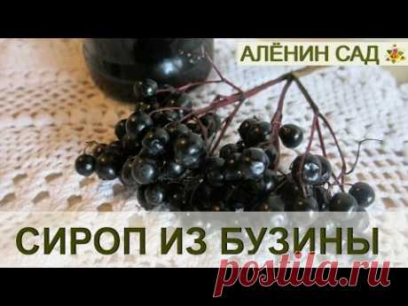 Делаем сироп из БУЗИНЫ черной!!!