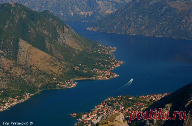 Kotor