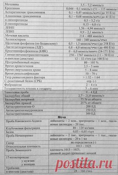 Нормы анализов. Сохраните себе!