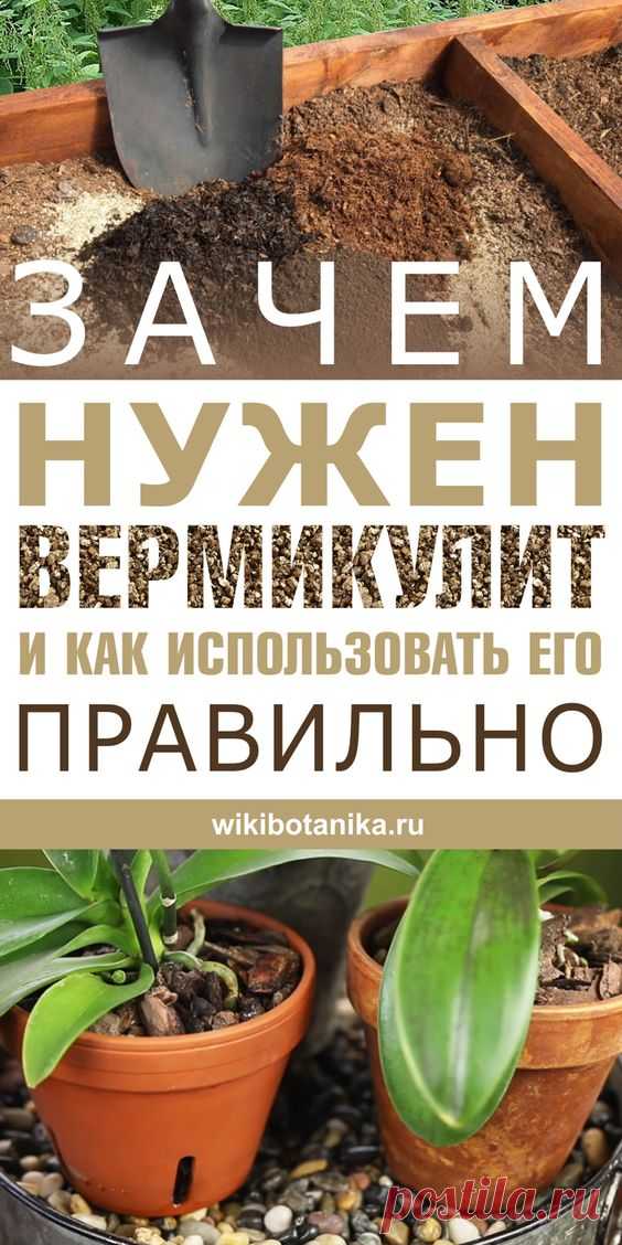 Зачем нужен вермикулит и как использовать его правильно