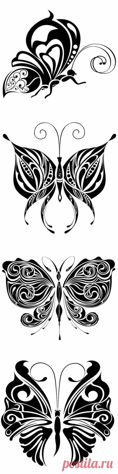 Бабочки (чёрно-белое)..