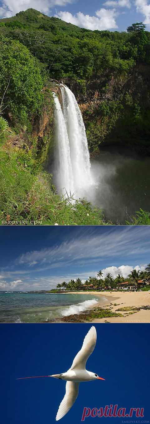 (+1) - Остров Открытий. Гаваи | Непутевые заметки