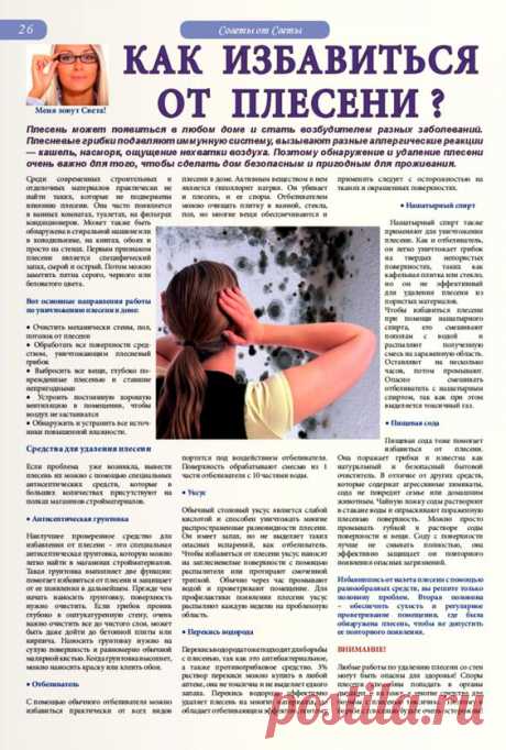 НАШ ДОМ: ЧИСТЫЙ ДОМ