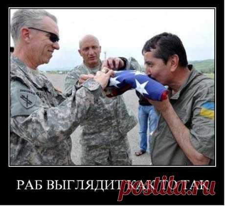 Так поступают только предатели!