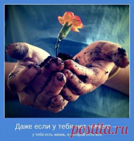 Мотиваторы "Мешочек счастья" / Приколы