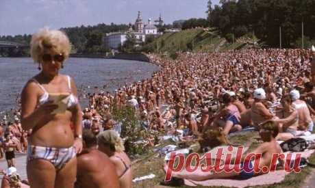 В чём разница между доменным именем и хостингом? https://blogomob.ru/