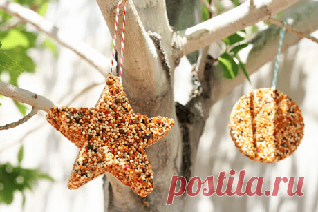 Советы от Подарков.ру | Оригинальная кормушка для птиц