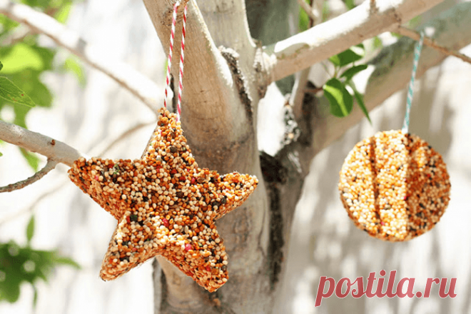 Советы от Подарков.ру | Оригинальная кормушка для птиц