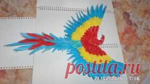 Одноклассники