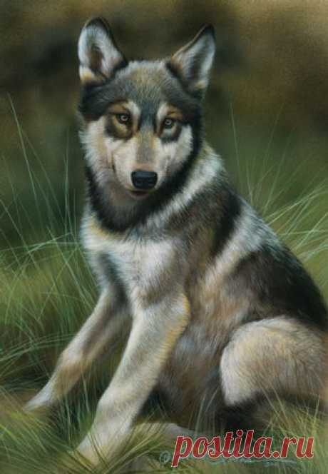 Приморская художественная галерея и новые миниатюры | Картины дикой природы и природы Ребекки Лэтэм