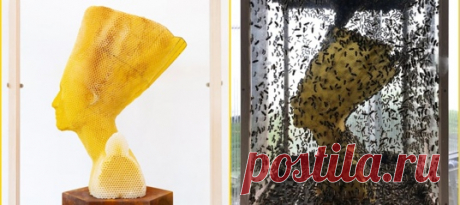 «Это какие-то неправильные пчёлы», – сказал бы Винни-Пух. «Это пчёлы на службе искусства», – ответим мы. Десятки тысяч крылатых тружениц в соавторстве с художником вот уже несколько лет создают впечатляющие скульптуры 🐝