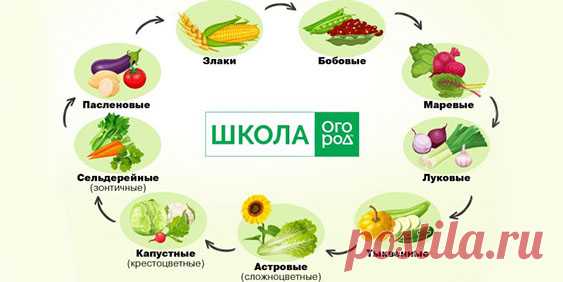 Почта Mail.ru