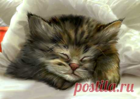 Sleepy by YuriPlatov on DeviantArt