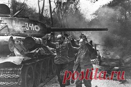 В Госдуме напомнили Мерцу деталь поражения Германии во Второй мировой войне