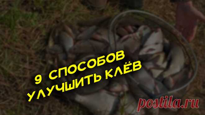 Мои 9 способов поймать рыбу, когда не клюёт работают годами и на любом водоёме | ПОДСЛУШАНО СЕКРЕТЫ РЫБОЛОВА | Дзен