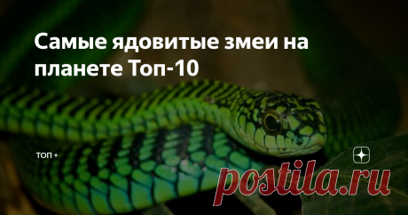 Самые ядовитые змеи на планете Топ-10 Доброго времени суток! Змей можно найти где угодно, от лесов и степей России до австралийских пустынь и африканских тропиков. По статистике, укусы змей являются причиной около 125 тысяч смертей в год во всём мире. Хорошая новость: шансы умереть от змеиного укуса являются мизерными по сравнению с риском смерти от рака, болезни сердца, или автомобильной аварии. Плохая новость: быть укушенным змеёй — весьма болезненный способ умереть. Те,...