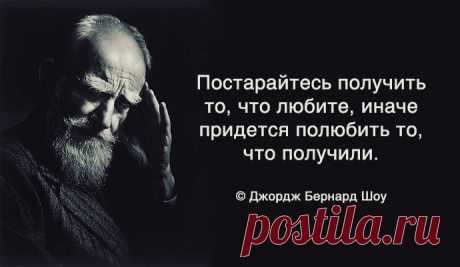 Научился говорить — значит вырос, научился молчать — значит поумнел. © Бернард Шоу