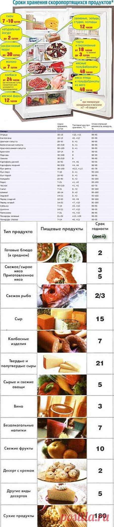 сообщение пижма123 : Как и сколько хранить продукты дома? (10:31 10-01-2014) [4593156/307046052] - nadezda_55@mail.ru - Почта Mail.Ru