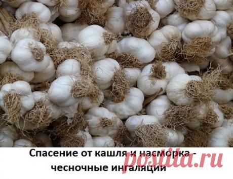 ПОГОДА СЕЙЧАС ТАКАЯ, ЧТО МНОГИЕ ИЗ НАС
ЖАЛУЮТСЯ НА ДЛИТЕЛЬНЫЙ КАШЕЛЬ
Есть простой домашний способ избавления от приступов кашля - чесночная ингаляция.
Показать полностью…