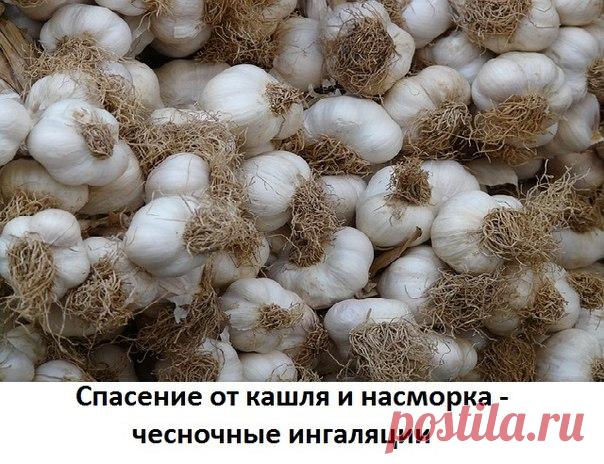 ПОГОДА СЕЙЧАС ТАКАЯ, ЧТО МНОГИЕ ИЗ НАС 
ЖАЛУЮТСЯ НА ДЛИТЕЛЬНЫЙ КАШЕЛЬ 

Есть простой домашний способ избавления от приступов кашля - чесночная ингаляция. 

Показать полностью…