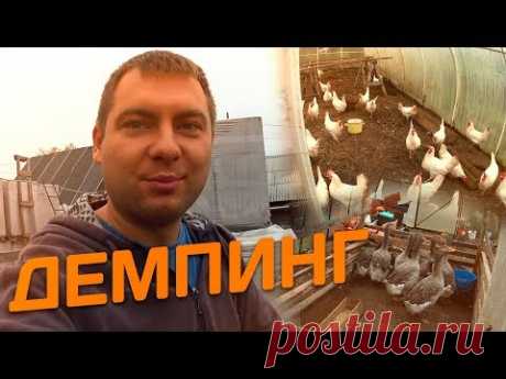 Демпинг // Жизнь в деревне