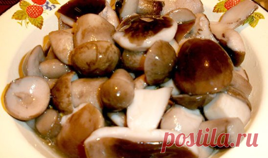 МАРИНАД ДЛЯ ГРИБОВ (Опят, маслят, белых и т. д. ) 
1 литр воды; 
2 ст. л. сахара; 
4 ч. л. соли; 
3 шт. лаврового листа; 
6 горошин душистого перца; 
4 шт. гвоздики; 
3 кусочка корицы (молотой ½ ч. л.) ; 
3 ч. л. уксусной эссенции 70 %. 
При использовании столового 5% уксуса необходимо взять 800 мл воды и 200 мл 5% уксуса. При использовании 9% уксуса - 890 мл воды и 110 мл 9% уксуса. 
ПРИГОТОВЛЕНИЕ: 
Вскипятить воду, добавить специи, проварить минутки три (уксус добавить в самом конце варки)