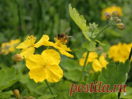 Уролог рассказал, как победить ПРОСТАТИТ. Найден враг простатита №1