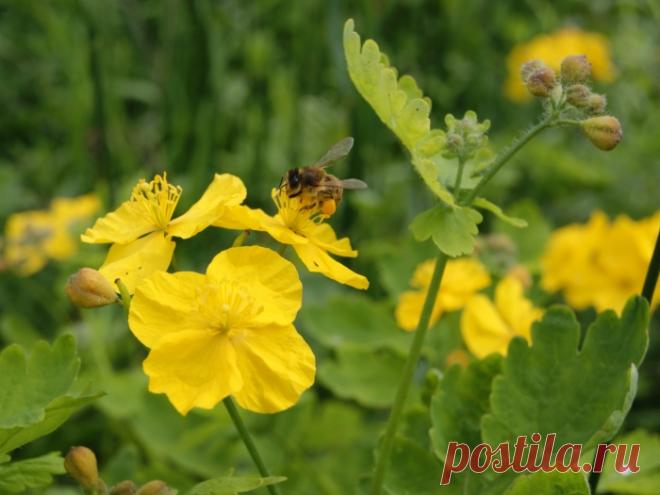 Уролог рассказал, как победить ПРОСТАТИТ. Найден враг простатита №1