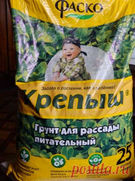 Даёшь рассаду!!! - Садоводка. Перец, лобелия, грунт, сроки.