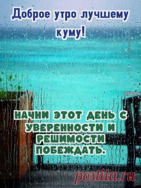 «Доброе утро кум!»