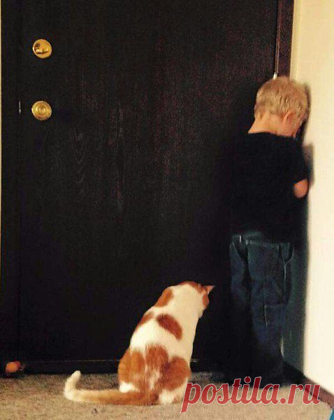 Интересные новости