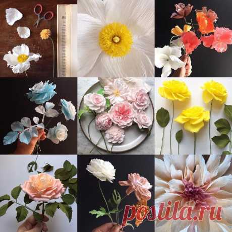 What my feed would look like if I didn't come from a blogging background and want to keep a little record of our life here. Most of my paper flower pals keep their feeds pure and beautiful. Maybe some day Instagram will make it simple to switch back and forth between accounts so I can split them up, but I don't have the restraint to post only flowers, yet! #paperflowers
