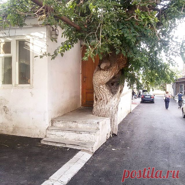 Домик в Махачкале  #пейзаж #махачкала #фотороссия #фото #fotografia #улицымахачкалы