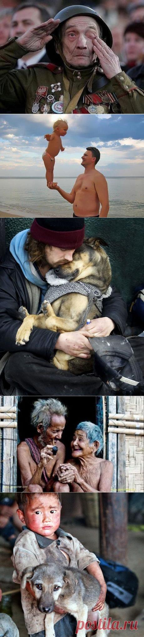 Фотографии, наполненные любовью и добротой / Всё самое лучшее из интернета