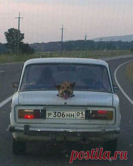 Россия!!