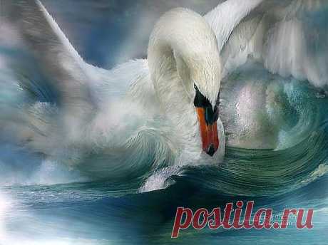 Spirit Of The Swan Mixed Media by Carol Cavalaris - Spirit Of The Swan Fine Art Prints and Posters for Sale