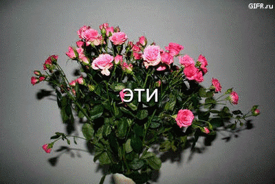 495659294331665.gif (400×267)