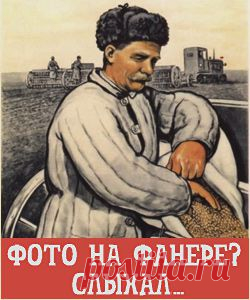 Парадоксальный бомж – инвестор. Вот вам и нищетрейдинг ))) / Блог им. Sambojoy / Дартстрэйд