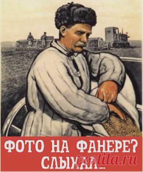 Парадоксальный бомж – инвестор. Вот вам и нищетрейдинг ))) / Блог им. Sambojoy / Дартстрэйд