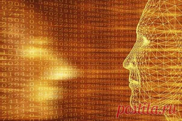 Я выживаю везде!: 11 препаратов для улучшения работы мозга